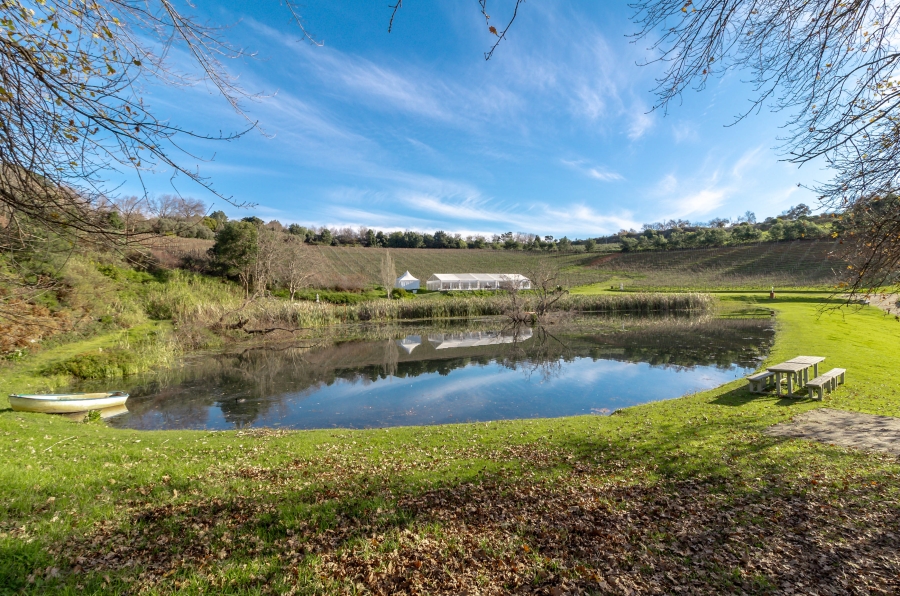 0 Bedroom Property for Sale in Stellenbosch Farms Western Cape
